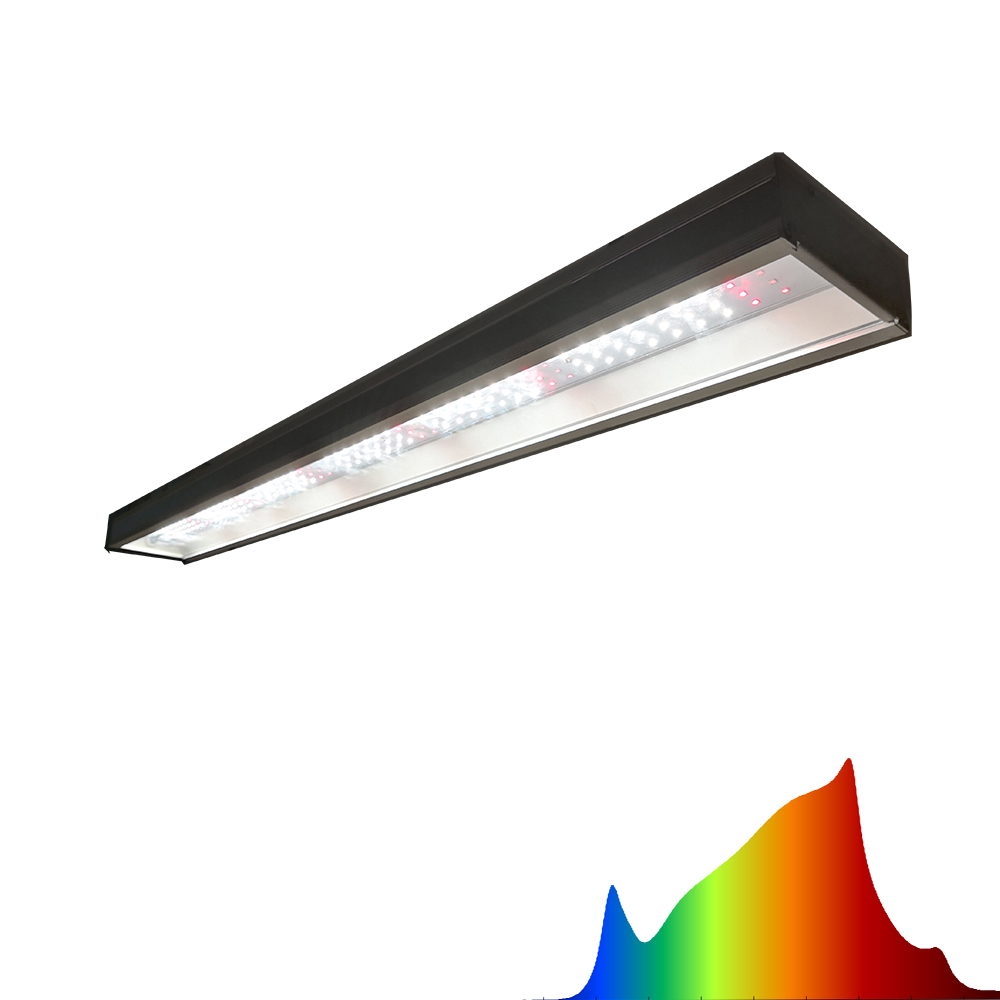 gerbar-135w espectro 3