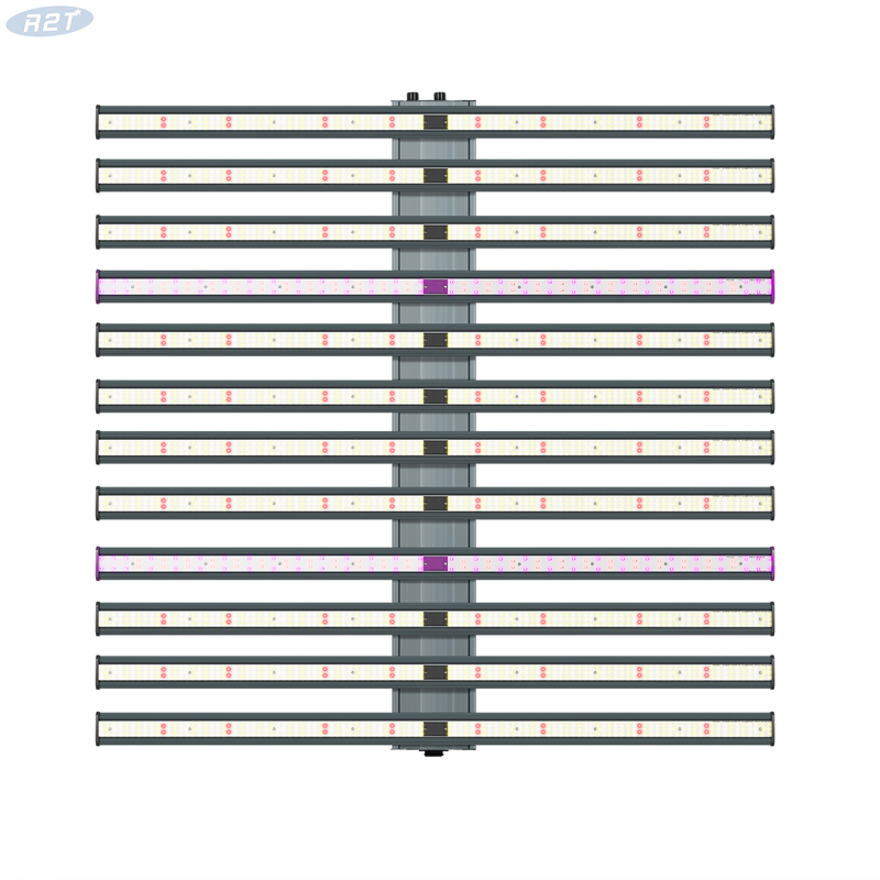 R2TCrecer a prueba de agua 2 canales individuales OEM Precio razonable Luz de cultivo LED 1200W 12 Bar para cultivo de plantas medicinales