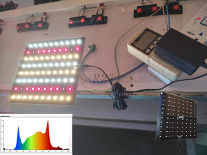 R2T-OEM/ODM LITE Fabricante de luces LED de cultivo de algas DC24V/25W personalizadas