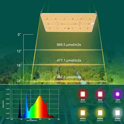 Espectro para plantar 4