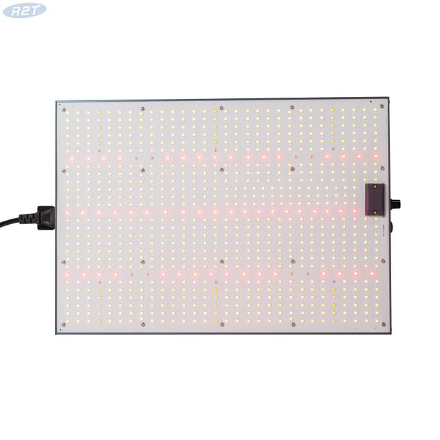 R2TGrow 2024 Alpha Pro LED Grow Light 240W espectro completo para invernadero